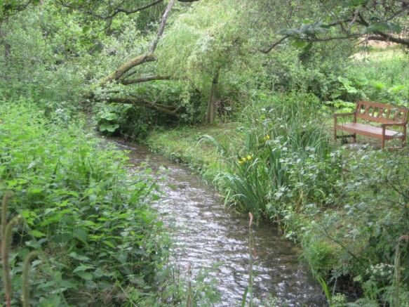 River and Bench