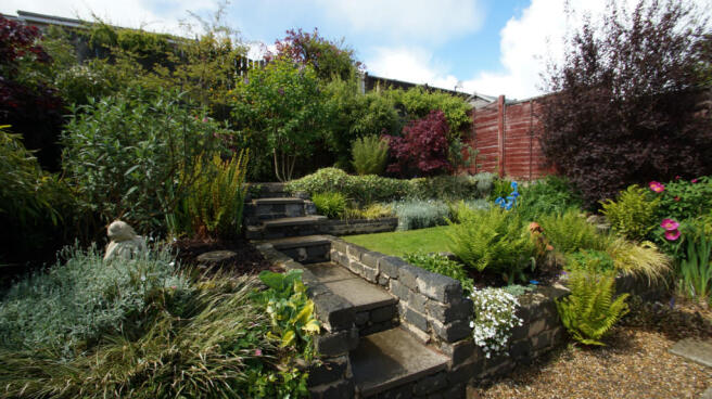 Rear Gardens