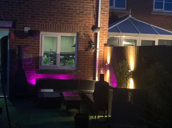 Garden At Night