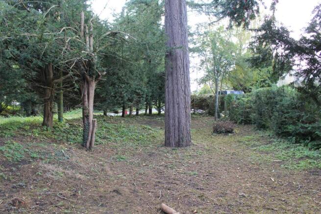 copse
