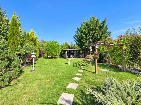 Garden.jpg