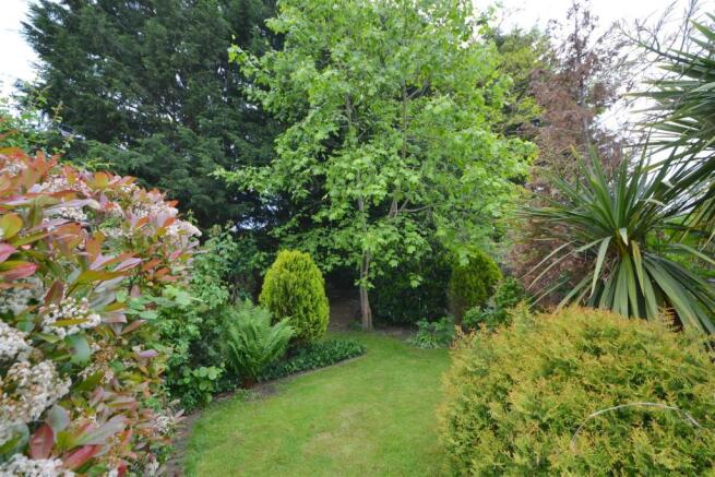 garden2.jpg