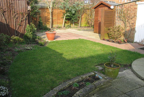 Garden