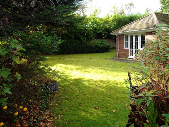 Photo 13