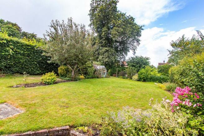 garden2.jpg