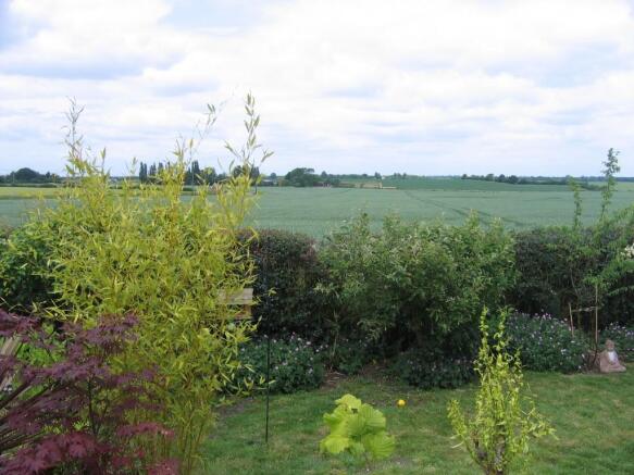 View from garden