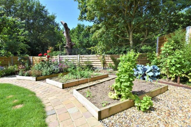 veg plot.JPG