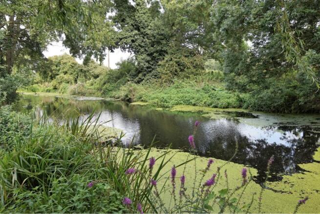 Nearby River