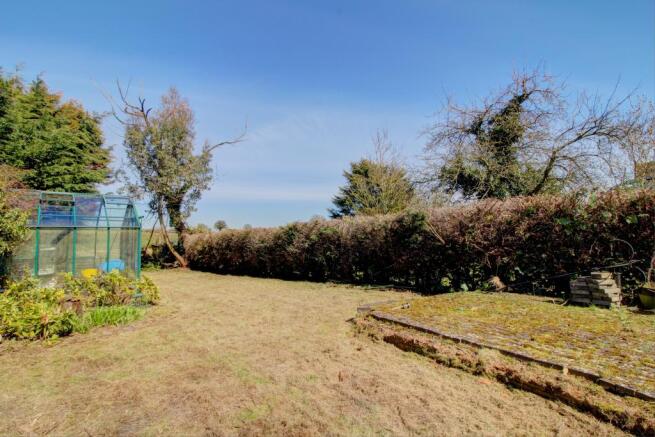 Garden (1)