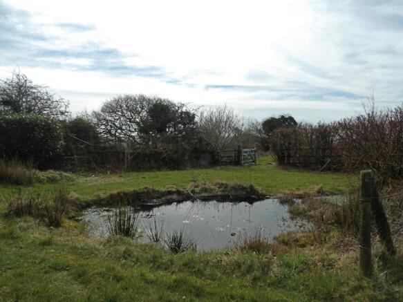 Pond