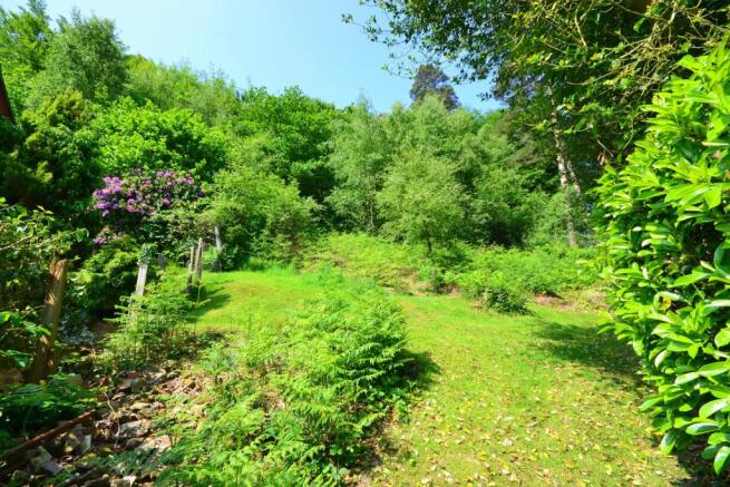 garden 2