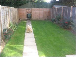 Rear garden