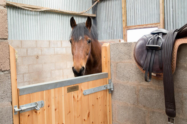 Barn stables detail