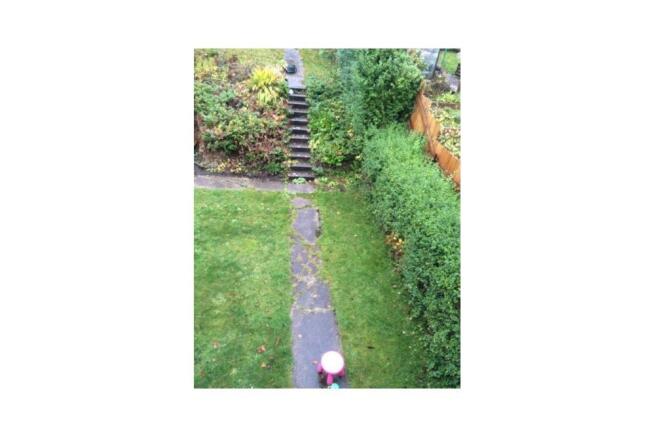 Extra image 6