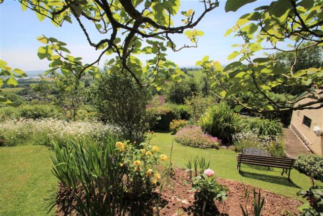 Garden 3.JPG