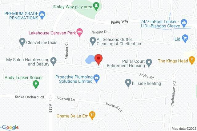 Google Maps Image