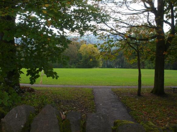 View To The Front