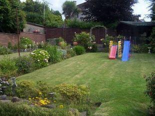 Picture 9