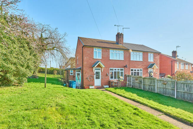 P1701154 T202603191627.jpg