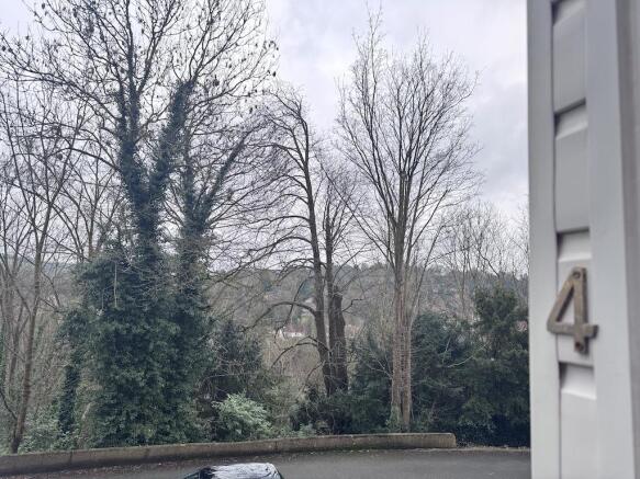 5 - View from Porch.jpg