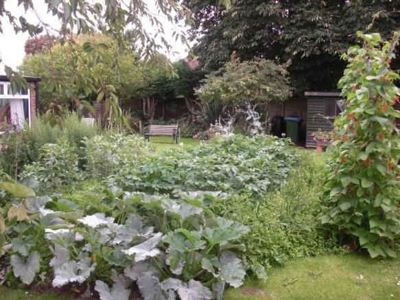 Rear garden