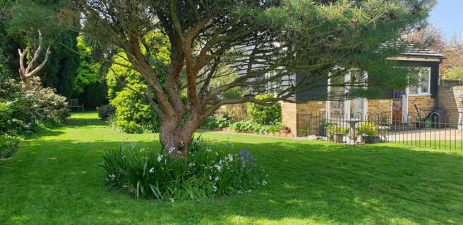 Garden (12)