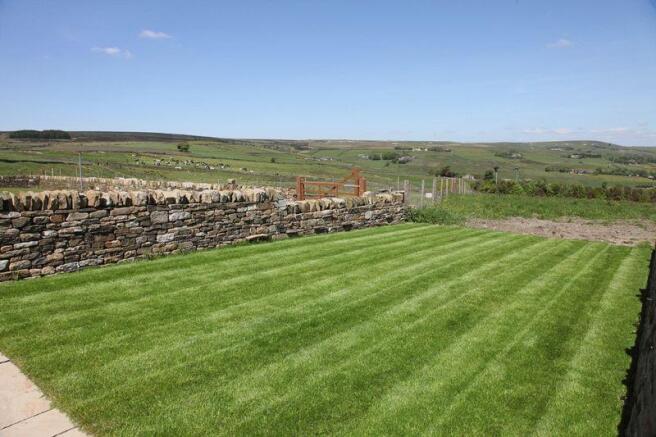 Lawn
