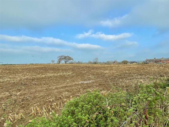 Surrounding Field