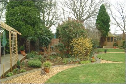 Mature trees/shrubs