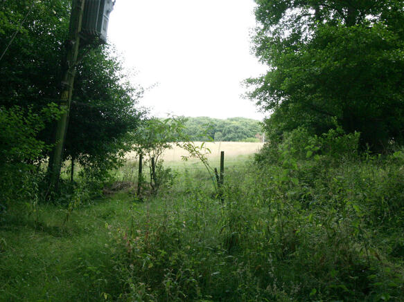 Field Outlook