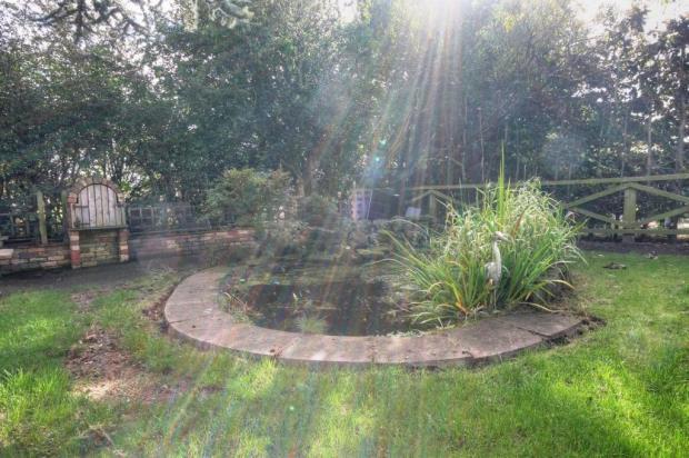 Garden 3