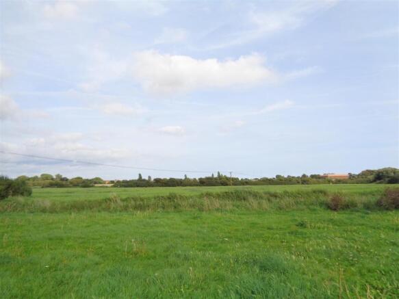 Open Fields
