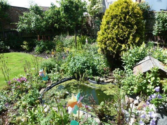 Pond