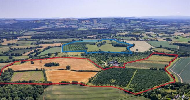 Lotting Plan 1 v3.jpg