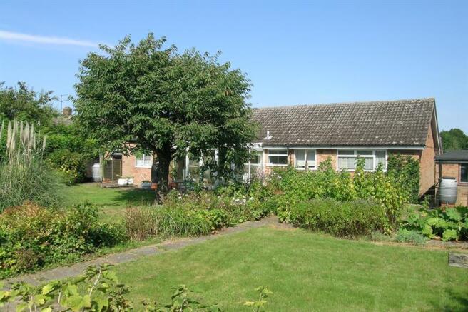 Photo 12
