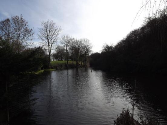 Pleshey Castle Moat