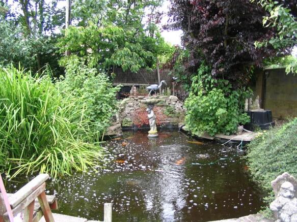 Pond