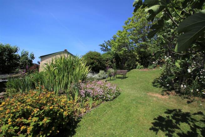Garden 4.JPG