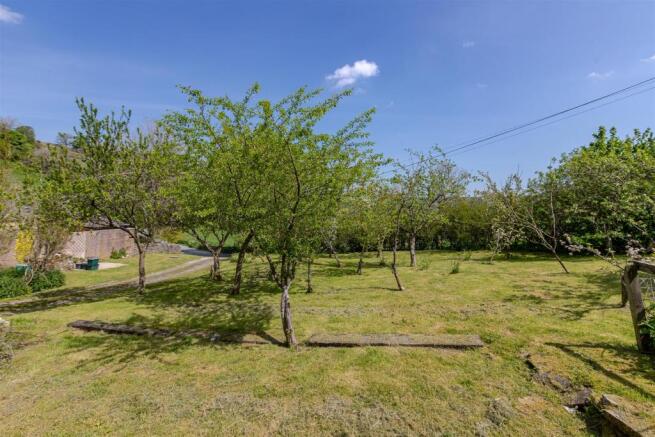 Orchard.jpg