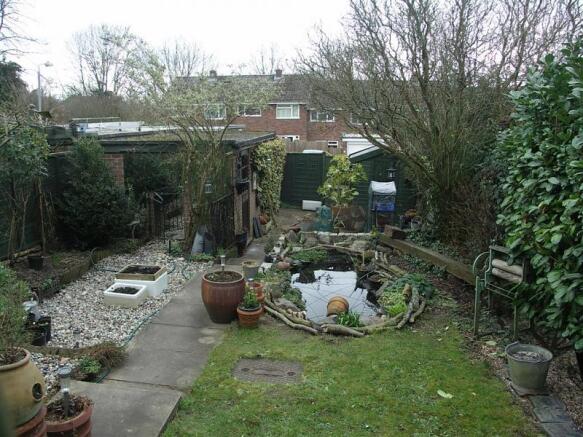 garden