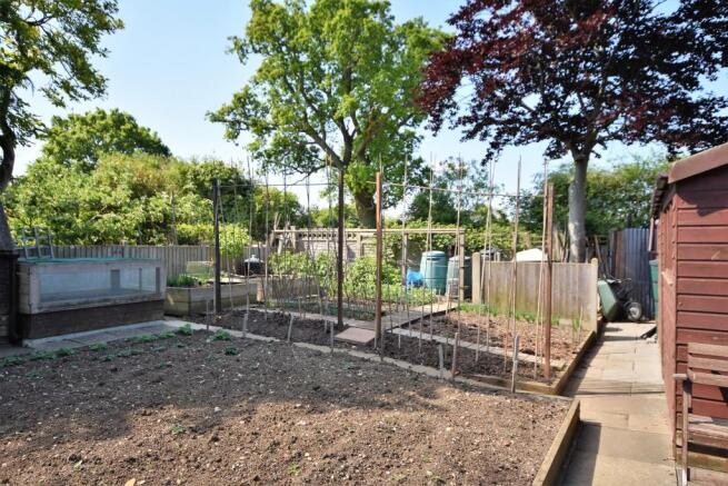 Rear Garden 5