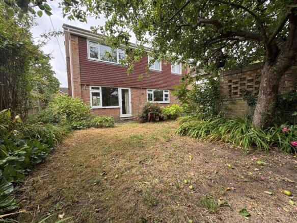 rear of house