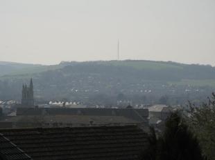 View From Garden