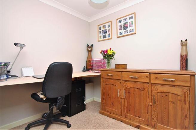 Study Area