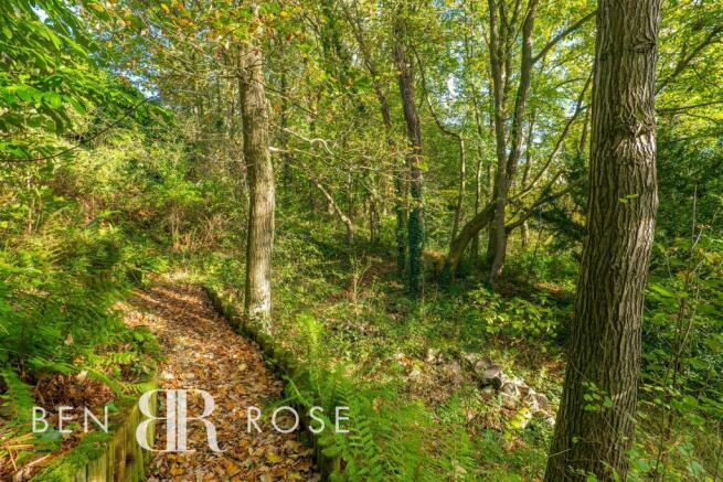 Woodland