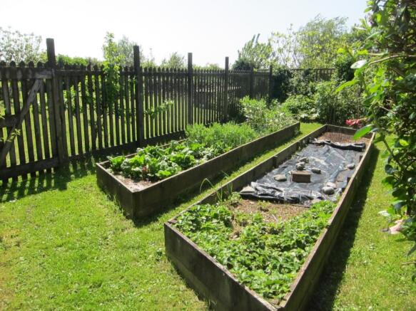 Vegetable garden