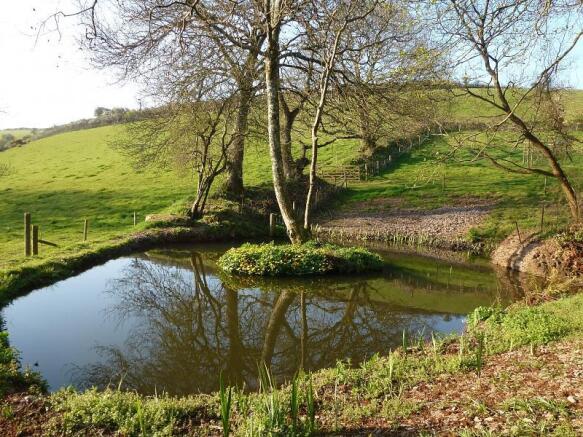 Pond
