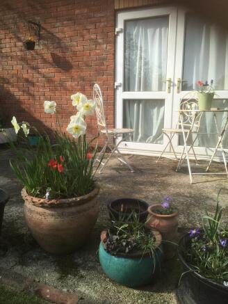 Photo 15