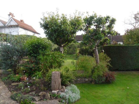 Photo 10