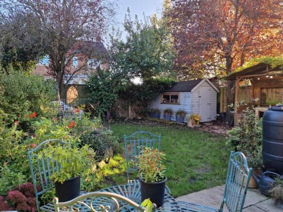 New garden.jpg